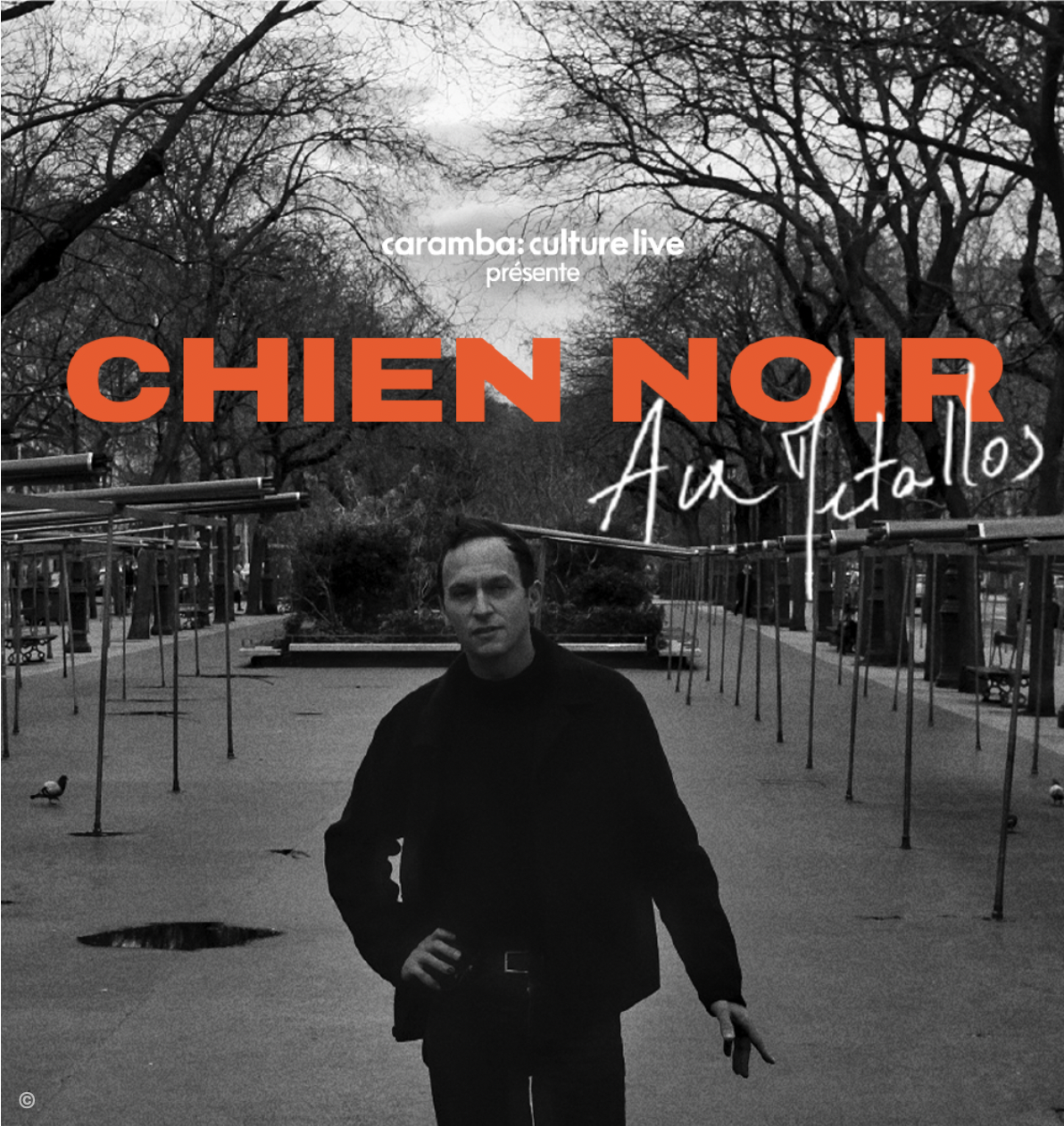 CONCERT : CHIEN NOIR AUX MÉTALLOS